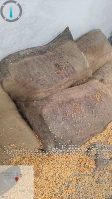 Water Affected Stock of Maize